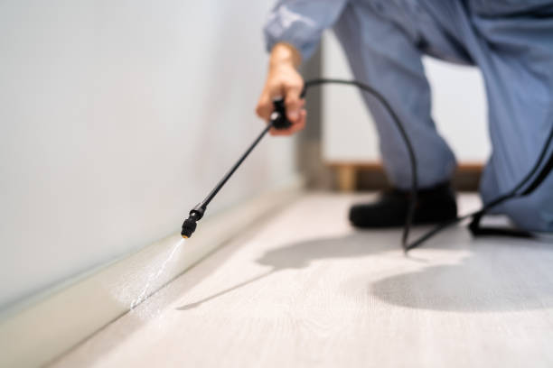Licensed Mosquito Control service in Willard, UT - Show Me Pest Control