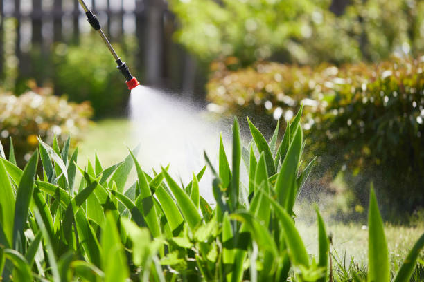 24/7 Emergency Mosquito Control experts in Willard, UT