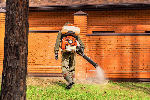 Top rated local Mosquito Control specialists in Willard, UT
